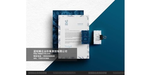 企業VI設計價格解析 以醫療企業與黃埔區為例，藍鉅鯨服務經驗分享